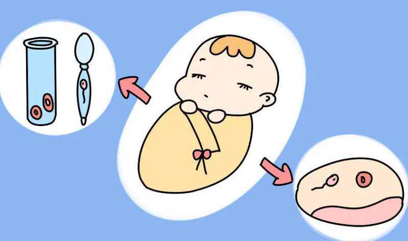 南京供卵试管生宝宝花费 南京军区总医院试管医生推荐： ‘怀男宝的孕囊’