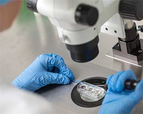 南京代怀生子宝宝,南京三代试管婴儿的费用和成功率是多少？