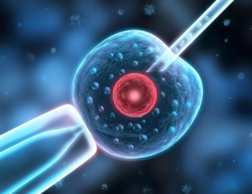 南京试管代怀条件,南京试管医院能做三代试管挑男女吗？南京试管能不能做男