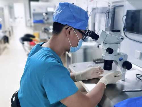 南京正规供卵代生,深圳同性,合法助孕机构-上海供卵试管费用是多少钱_试管移