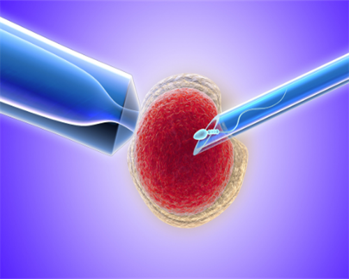 南京最大的中介供卵试管 2026
南京冻卵流程表一览 ‘怀孕后期症状看男女’