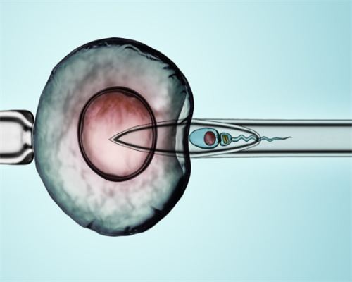 南京供卵代生流程,南京鼓楼三代试管可以选男女吗