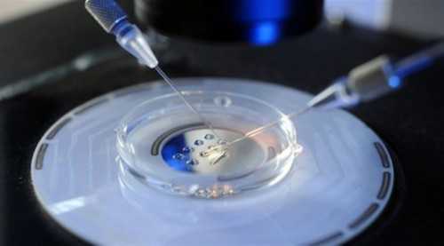 南京助孕公司地址 南京妇幼保健院三代试管贵吗？ ‘怀男孩肚型图五个月’