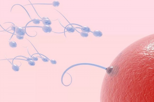 南京三代供卵中心,北京三医院供卵（北京供卵中心）-同济医院生殖科哪个最厉