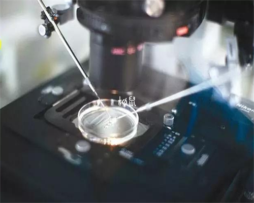 南京借卵代怀安全吗,泰国试管婴儿有几种移殖方法呢?自身如何选择呢-南京试管