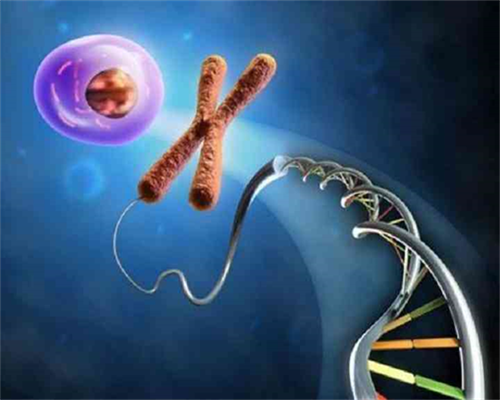 南京试管供卵供卵公司,南京三代试管婴儿的费用和成功率是多少？