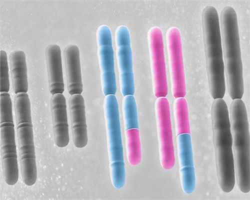 南京代怀孕我强烈推荐,试管婴儿生双胞胎的几率是多少？_南京有供卵试管机构