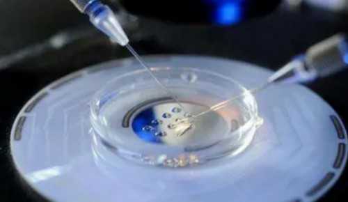 南京代孕招聘,艾灸对做试管婴儿有没有好处?有必要进行吗?-供卵中介哪家好