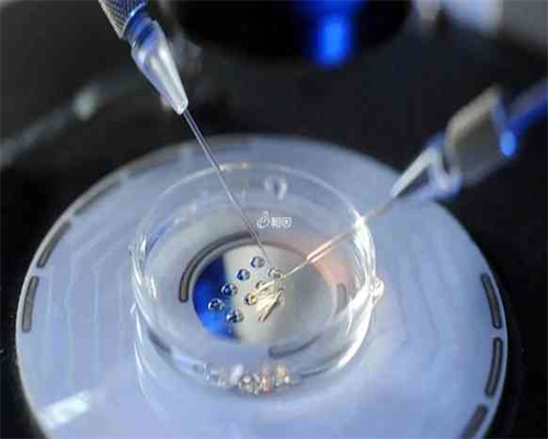 南京代怀孕费用,南京三代供精试管多少钱?附详细试管费用_上海私立医院供卵