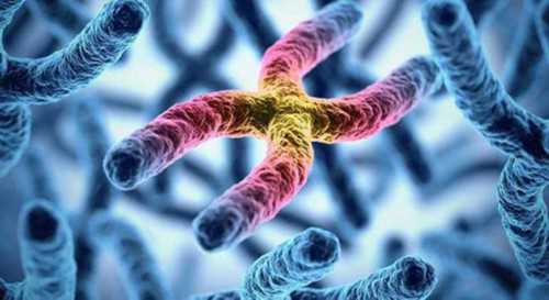 南京代怀公司流程,最新安徽三代试管婴儿医院排名最好-安徽医科大学第一附属