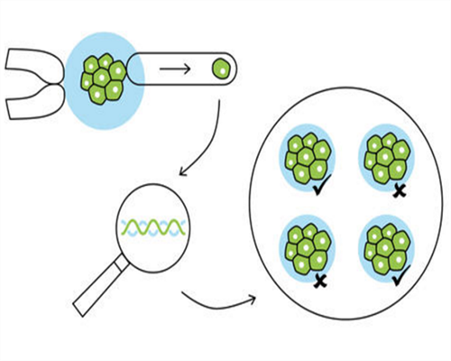 南京哪里供卵不需要排队 南京治疗生殖器疱疹 ‘b超报告单怎么看男女’