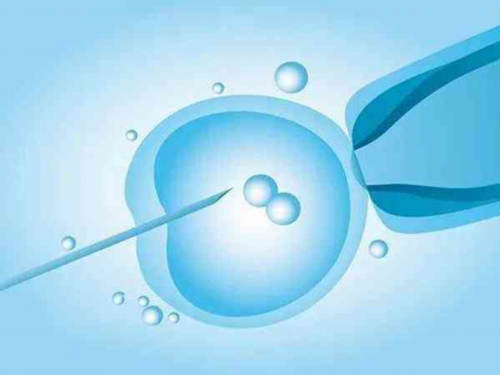 南京最靠谱的代孕公司,上海瑞金医院试管婴儿怎么样?2026
年试管费用攻略_上