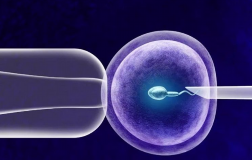 南京代孕公司包成功,基础卵泡少，会影响南京试管婴儿的成功率吗？