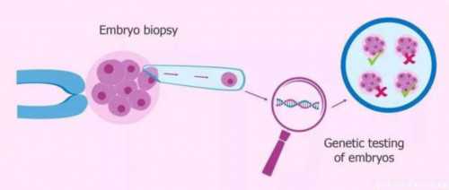 南京代孕最新价格表,产前预约赴香港染色体辨别性别简单到你不信_深圳哪家医
