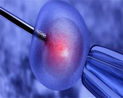 南京靠谱供卵中介,试管婴儿可以决定性别吗？_南京做供卵试管婴儿多少钱_试管