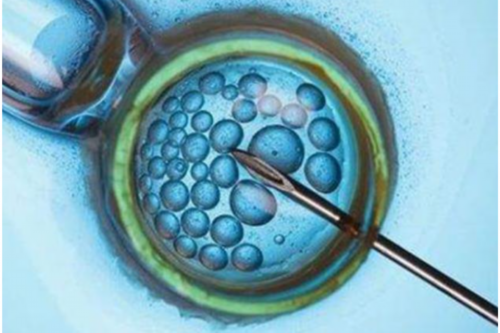 南京地区医院做试管(南京医院做试管哪家好)