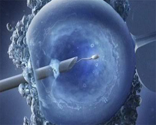 南京助孕公司找哪家南京助孕公司哪家好