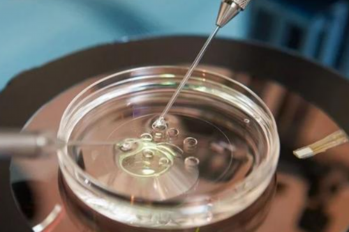 早早孕验孕棒几天能查出怀孕,如何正确使用早早孕验孕棒