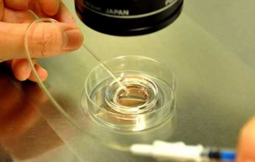 南京做试管供卵费用,南京三代试管婴儿费用高吗?怎么节省成本?