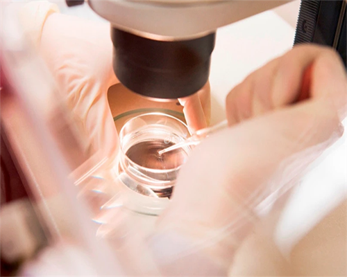 南京代孕生男孩产子价格,做试管婴儿期间 哪些东西不能吃_南京公立医院供卵