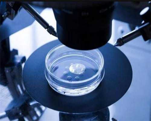 南京代生及费用,做试管要检查什么项目_试管婴儿 胚胎发育不全_西安供卵试管