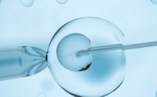 南京代怀网好公司 南京有没有做第三代试管私人医院? ‘孕囊大小看男女孩’