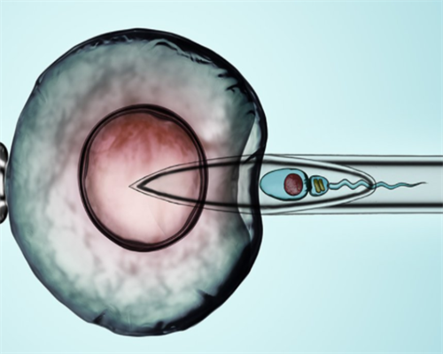 南京代孕妈妈网论坛,卵巢衰退去广医三院做试管婴儿助孕费用大概要花多少？