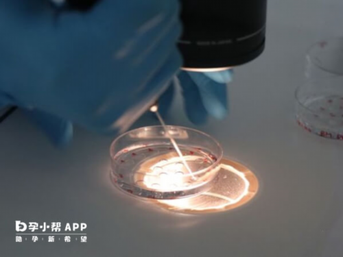 南京本地代孕费用有多少,南京有没有可以做试管婴儿生男孩的医院？医院可靠