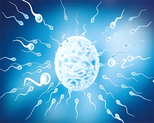 2026年江苏未婚做试管的机构盘点？江苏省做试管婴儿的医院有几家？