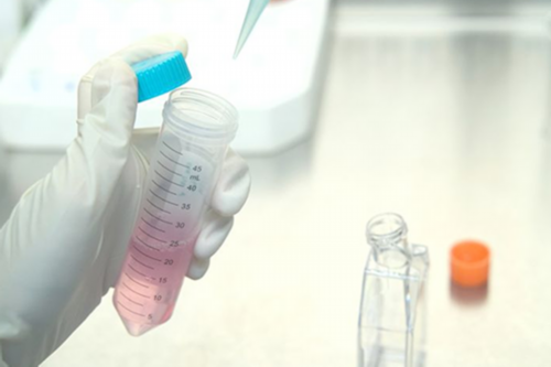 苏州供卵生孩子要多少钱,苏州同性生孩子