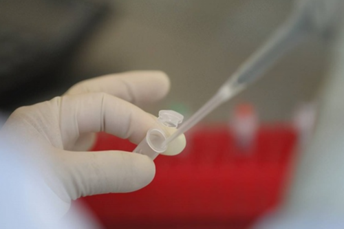 南京置晟供卵,南京桥北供卵机构