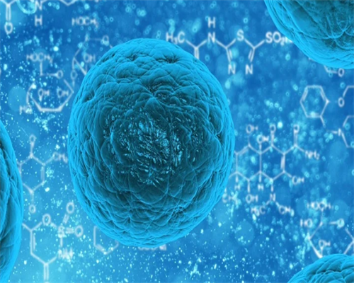 南京代怀包成功包男孩 最新南京试管婴儿医院排名 ‘四维单子图像看男女’