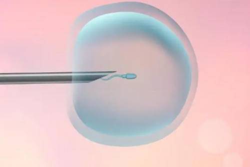 南京最好的代孕,南京有没有可以做试管婴儿生男孩的医院？医院可靠吗？