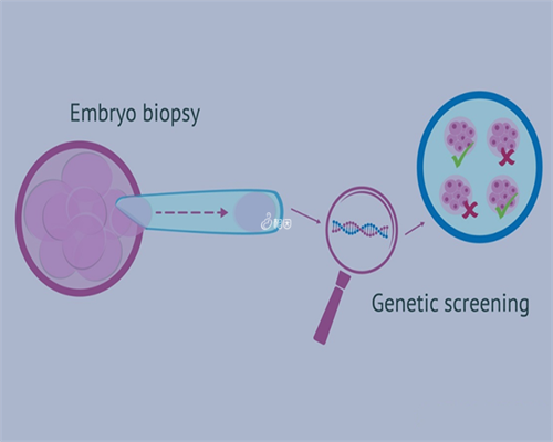 南京单身试管婴儿合法吗(南京试管婴儿费用)