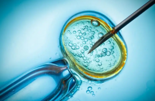 南京试管代孕费用流程,南京哪个医院试管比较好？怎样选择试管婴儿医院？