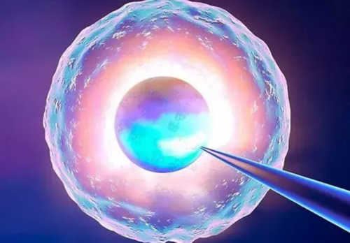 南京做代孕最好的公司,北京供卵试管价格多少钱，内附具体报销流程_南京供卵