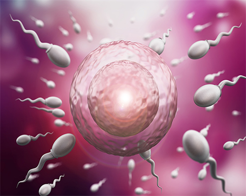 南京代孕网,北京正规供卵医院排名第一-南京公立医院供卵-试管移植后能吃醋和