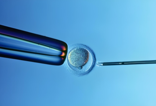 试管28天b超检查什么