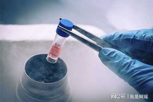 南京单身男性可以做试管吗 南京市上户口最新政策 ‘孕妇尿液酒精测男女’