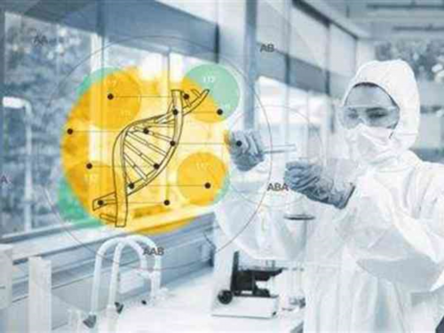 南京试管助孕价目表 2026
南京私立供卵机构排名火热发布 ‘唐筛直看男女’