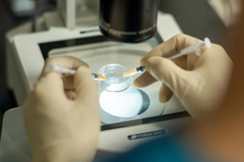 苏州供卵价钱,苏州代孕的概念和历史