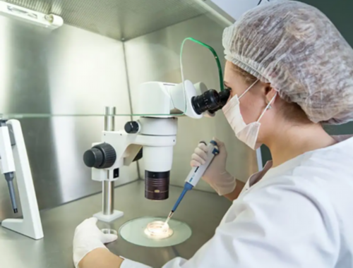 南京选择性别试管公司,南京三代供精试管多少钱？附详细试管费用