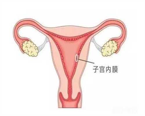 南京做代孕哪里成功率高_南京代孕可以要龙凤胎吗_南京代孕可以选择性别