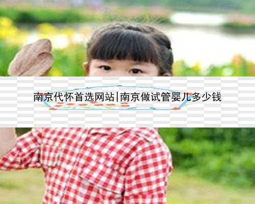 南京代怀首选网站|南京做试管婴儿多少钱